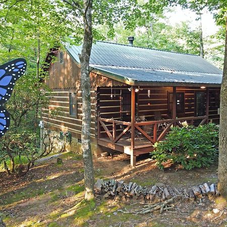 Laurel Creek- Blue Ridge Villa Buitenkant foto