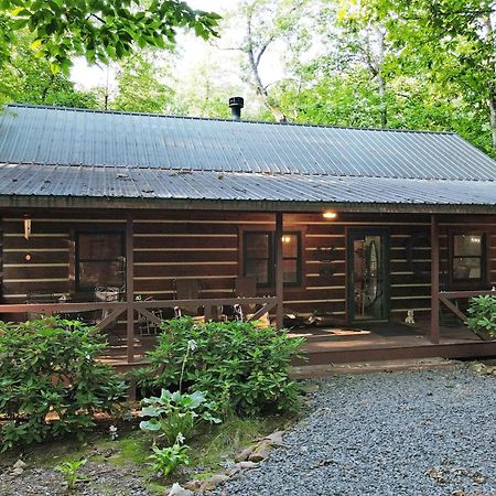 Laurel Creek- Blue Ridge Villa Buitenkant foto