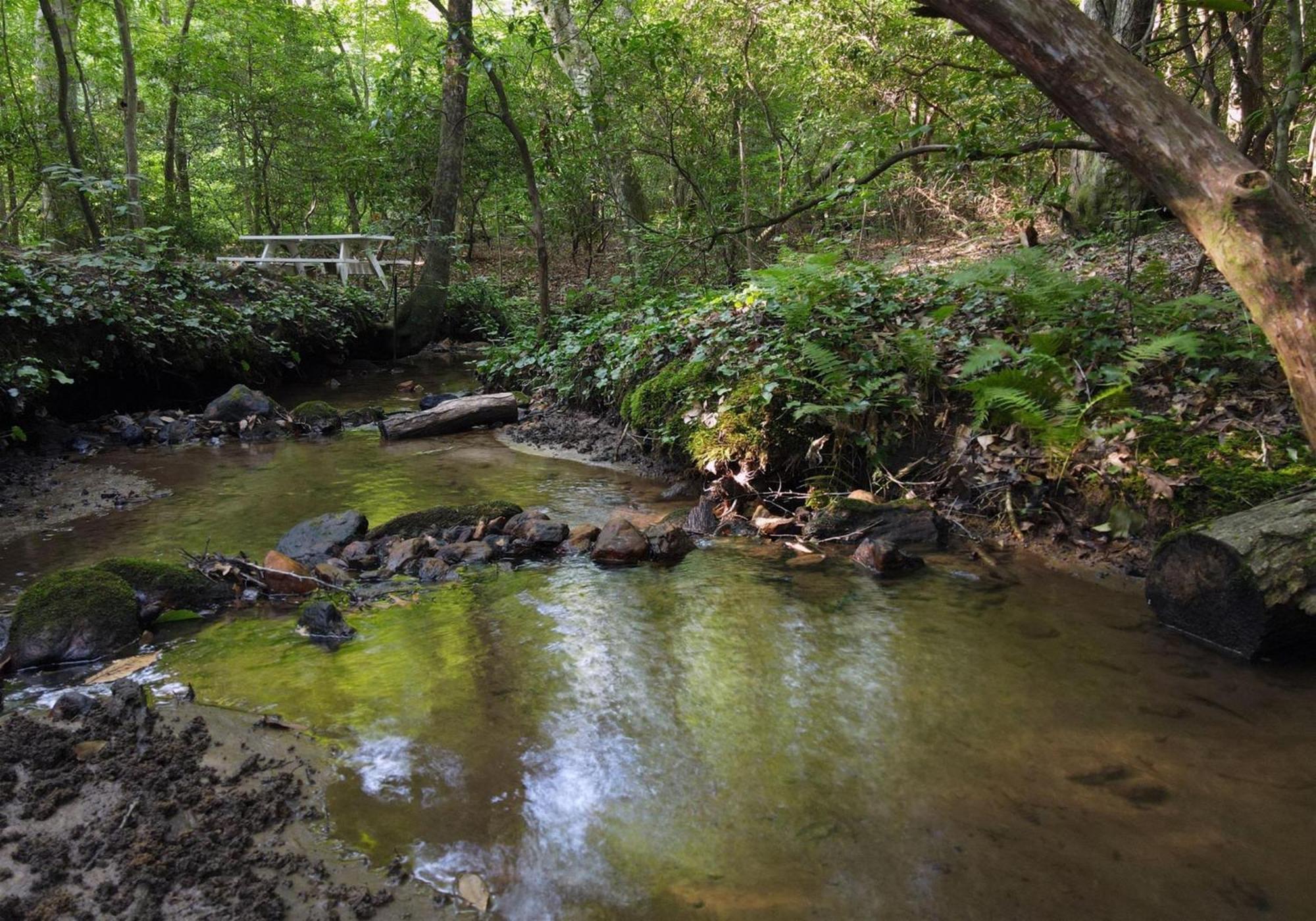 Laurel Creek- Blue Ridge Villa Buitenkant foto