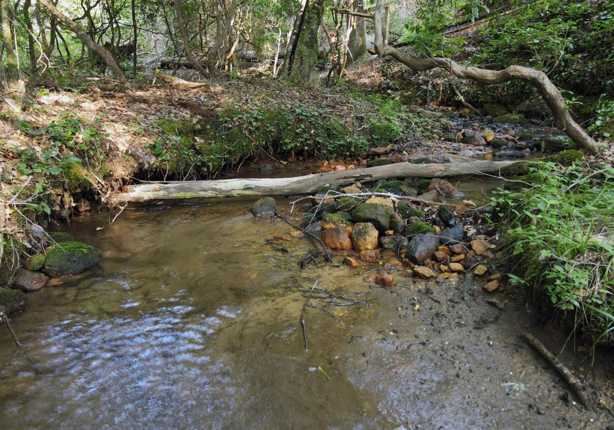 Laurel Creek- Blue Ridge Villa Buitenkant foto
