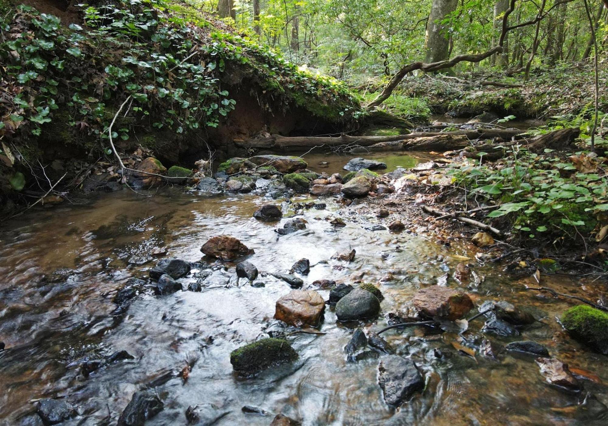 Laurel Creek- Blue Ridge Villa Buitenkant foto